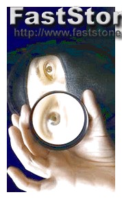 Can Spyzie Monitor Snapchat